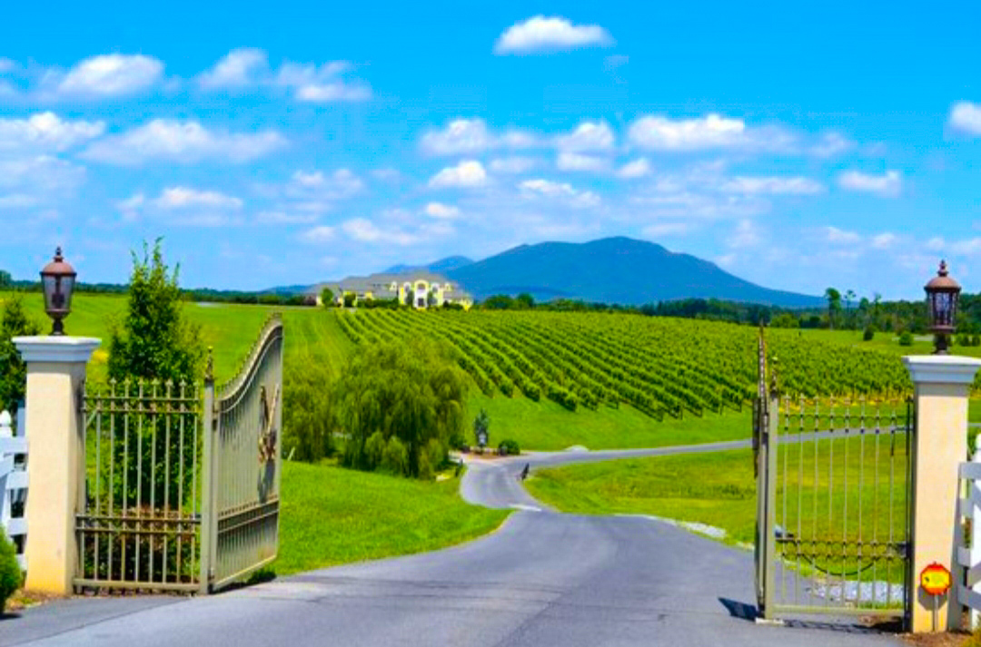 Wineries you should visit in Shenandoah Valley - Divinelita